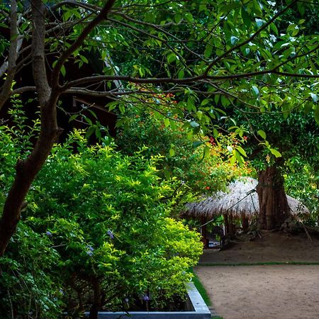 Hotel Arugambay Coco Bay à Baie d'Arugam Extérieur photo