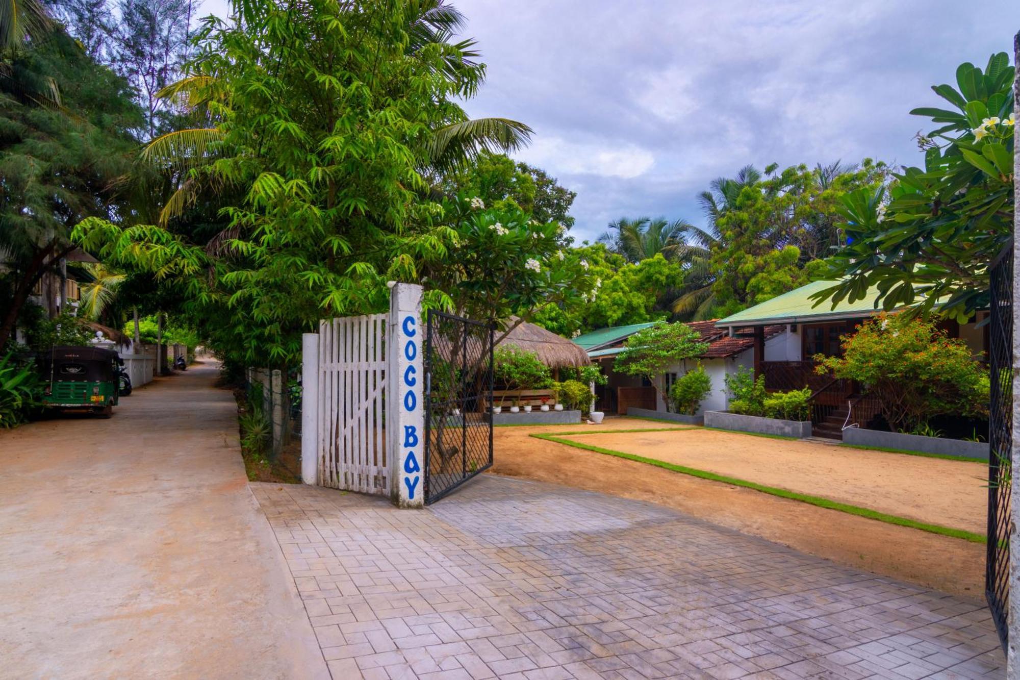 Hotel Arugambay Coco Bay à Baie d'Arugam Extérieur photo